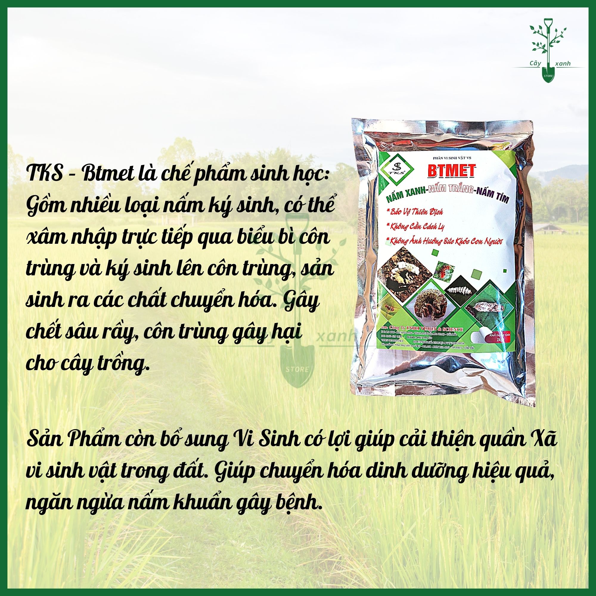 Chế phẩm trừ sâu sinh học TKS BTMET NẤM 3 MÀU - An toàn, Không cần cách ly - Gói 1kg - Cây Xanh Store