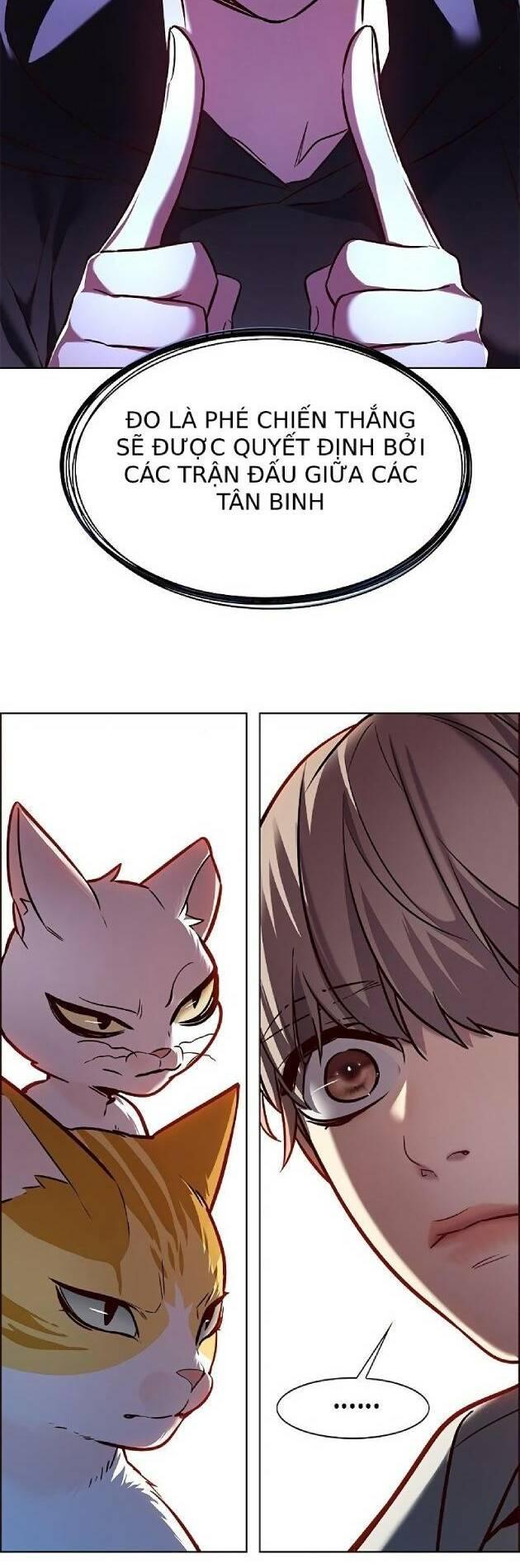 biến thân thành mèo chapter 239 24