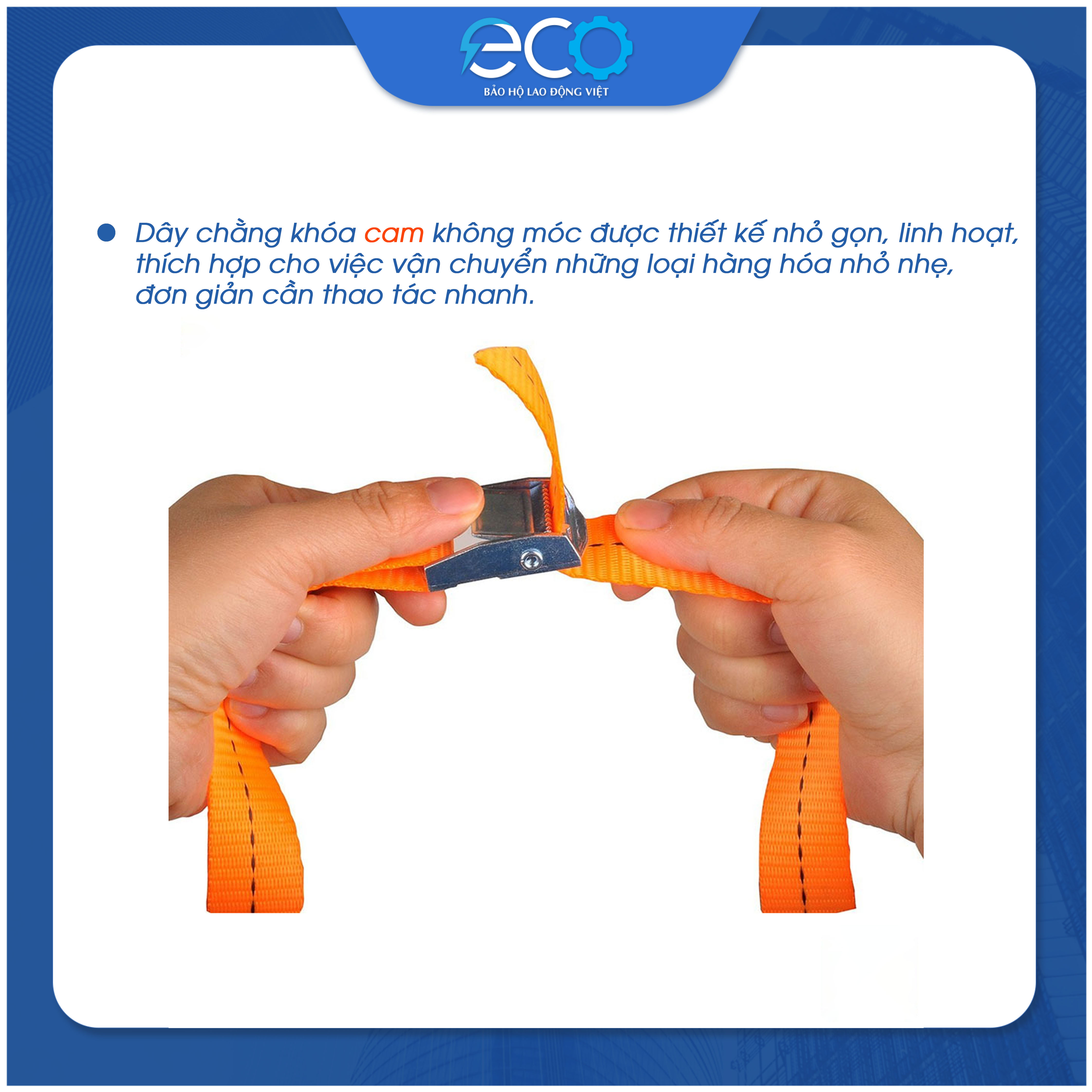 Dây chằng hàng khoá cam không móc Daravin, dây chằng hàng xe máy, hàng hóa pallet, vali, du lịch