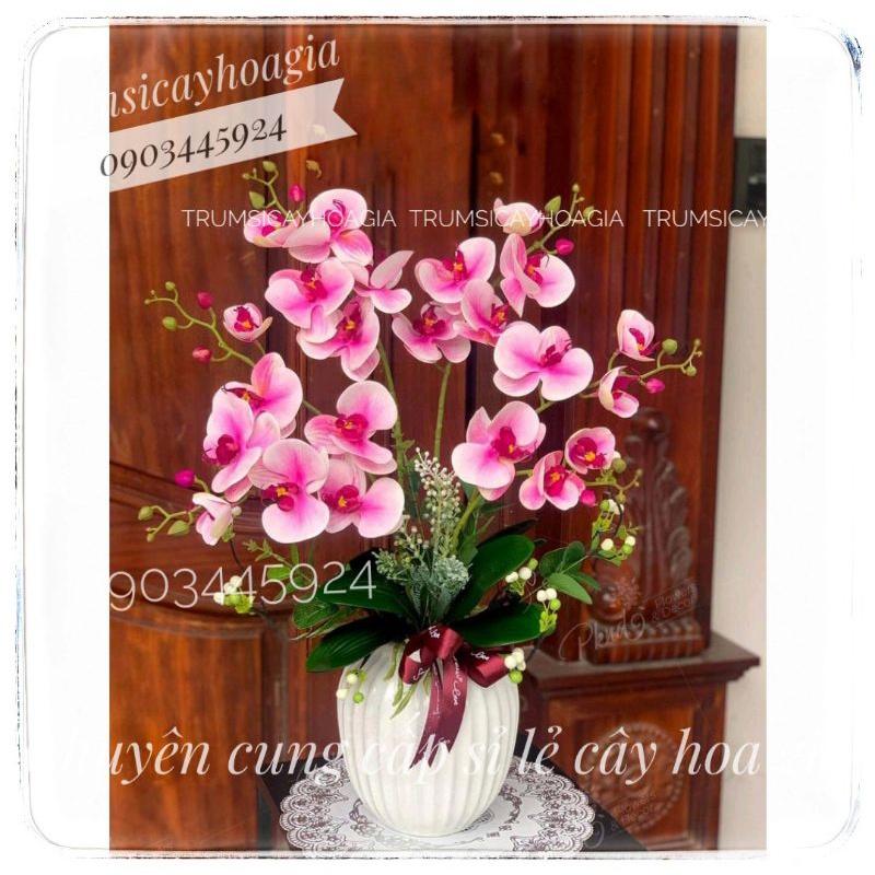Cành lan casu 2 nhánh cao cấp giống thật nhập khẩu-Hoa giả