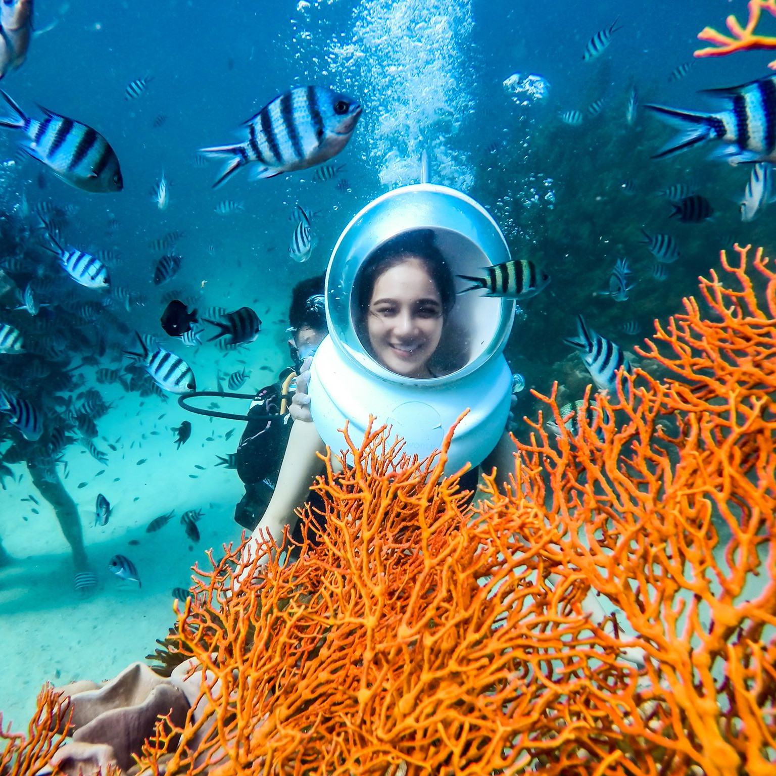 Combo đi bộ dưới đáy biển, Cano đưa đón, quay phim, chụp ảnh -Gói tiêu chuẩn