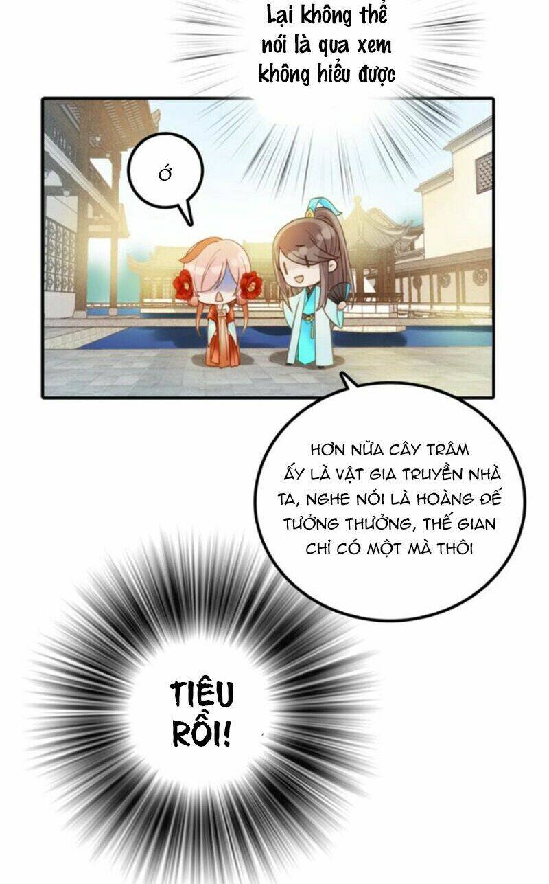 cướp chàng vợ về đón năm mới chapter 27 28