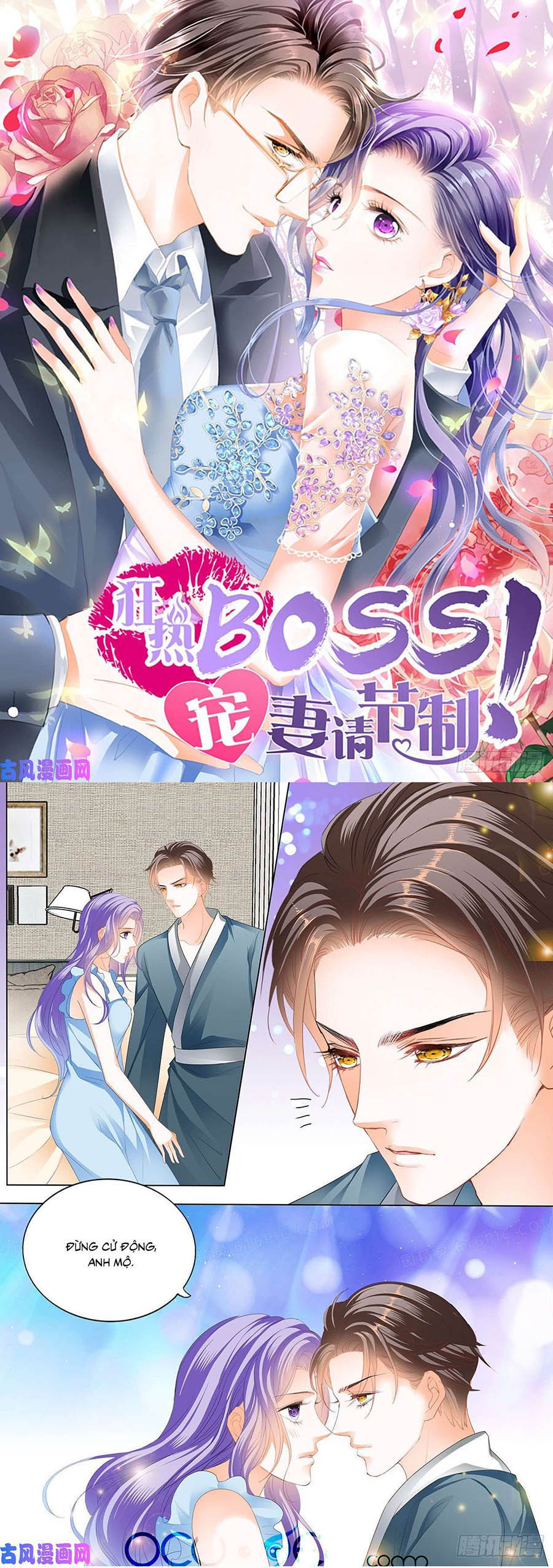 cuồng nhiệt boss, sủng thê xin kiềm chế chapter 96 1