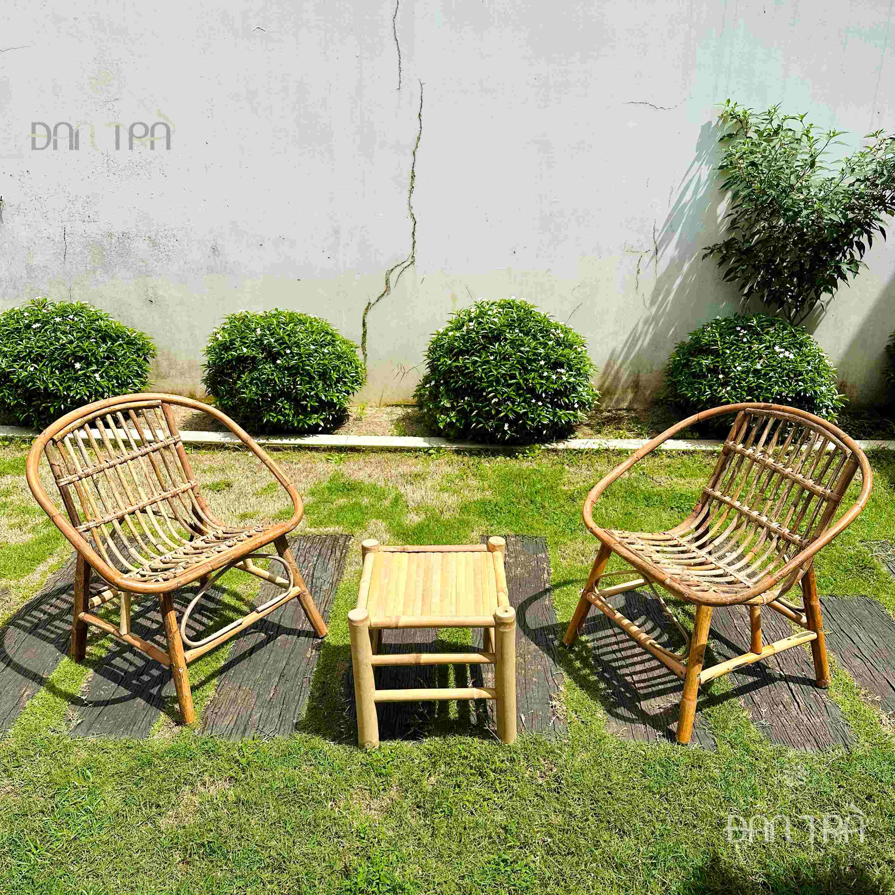 Ghế Mây Coffee Con Sò Nhỏ - Ghế Càfe Cho Quán Trà Sữa, Ban Công, Homestay - Xưởng Mây Tre ĐAN TRÀ