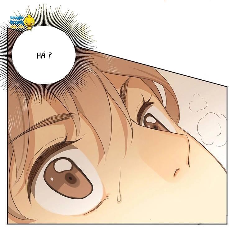 cứu mạng ! loài mèo thống trị thế giới rồi ! chapter 16 8