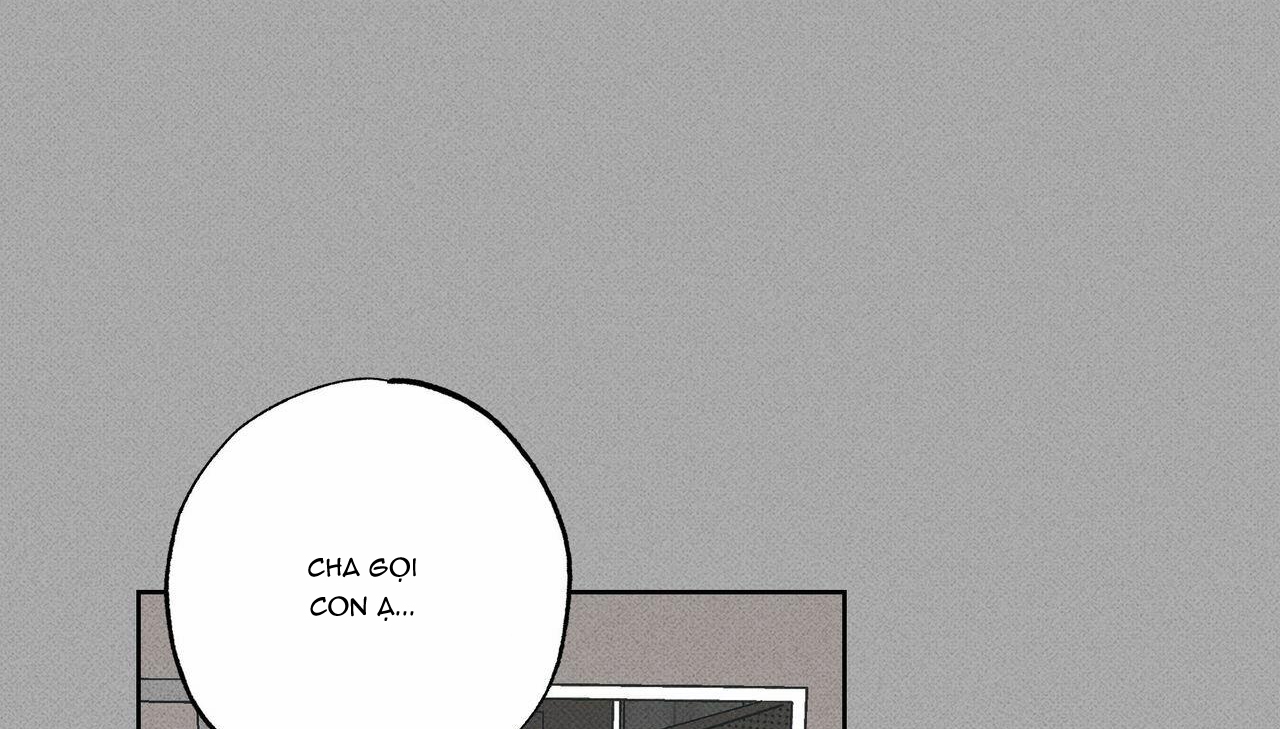 chàng giao pizza và gold palace chapter 35 43