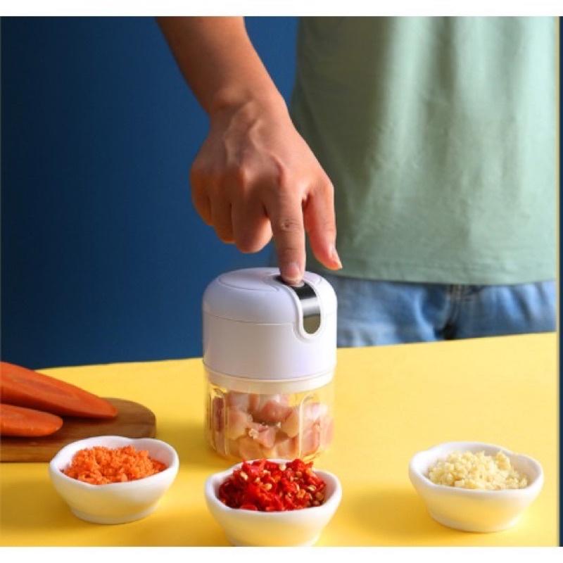 MÁY XAY TỎI ỚT, THỊT MINI