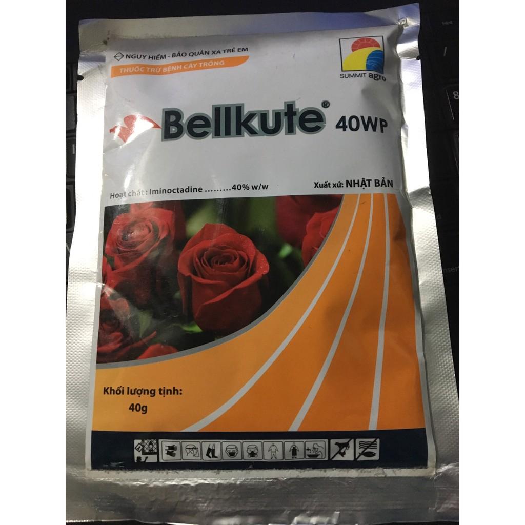 Thuốc trừ bệnh BellKute Đặc trị Phấn Trắng hoa hồng 20gr