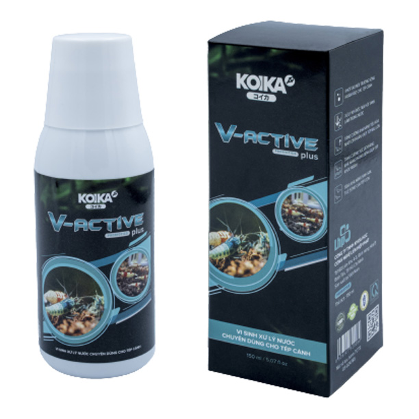 Vi sinh Koika V-Active Plus 150ml