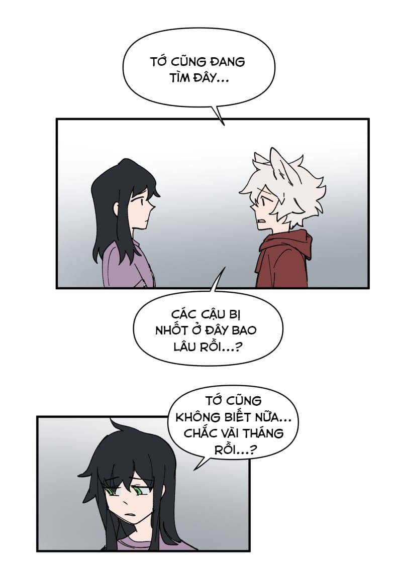 lumine - cội nguồn ánh sáng chapter 155 17