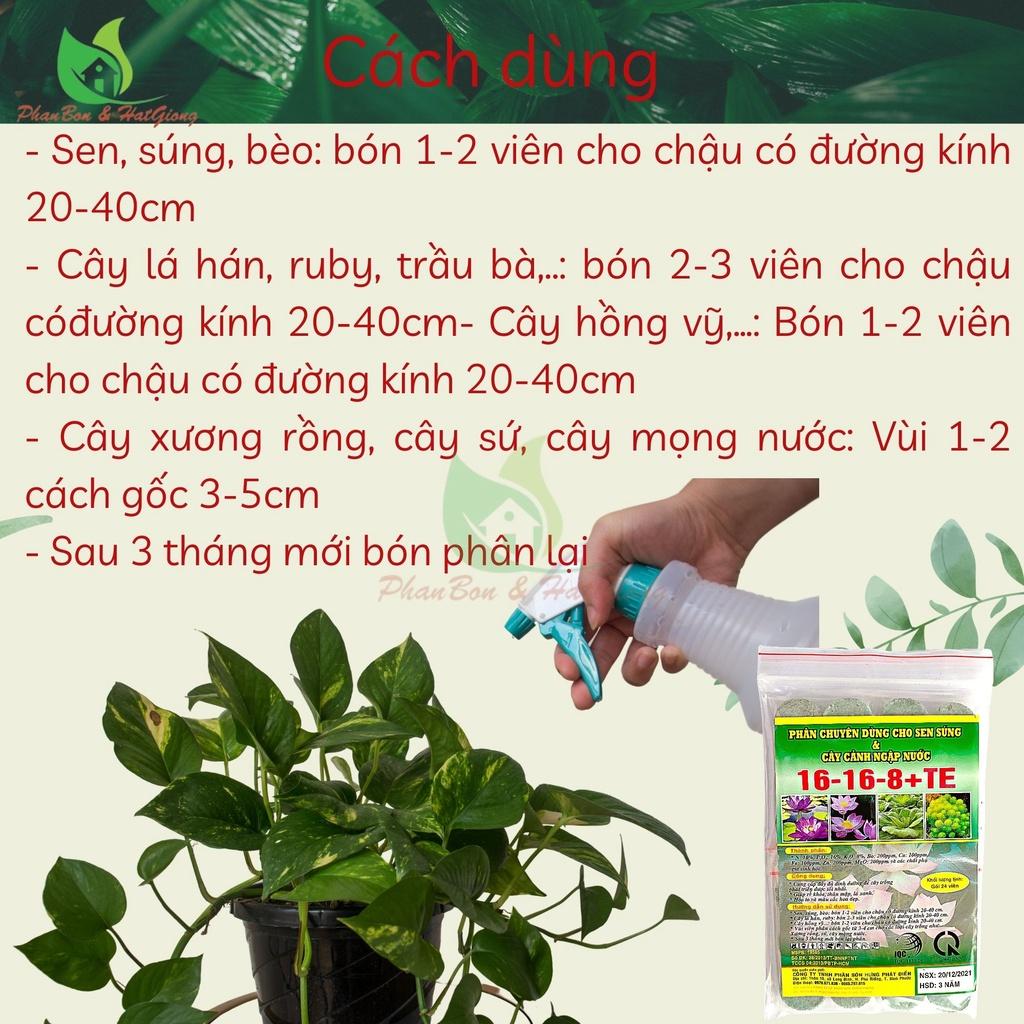 Phân Bón Hoa Sen Và Cây Ngập Nước NPK 16-16-8+TE Gói 24 Viên