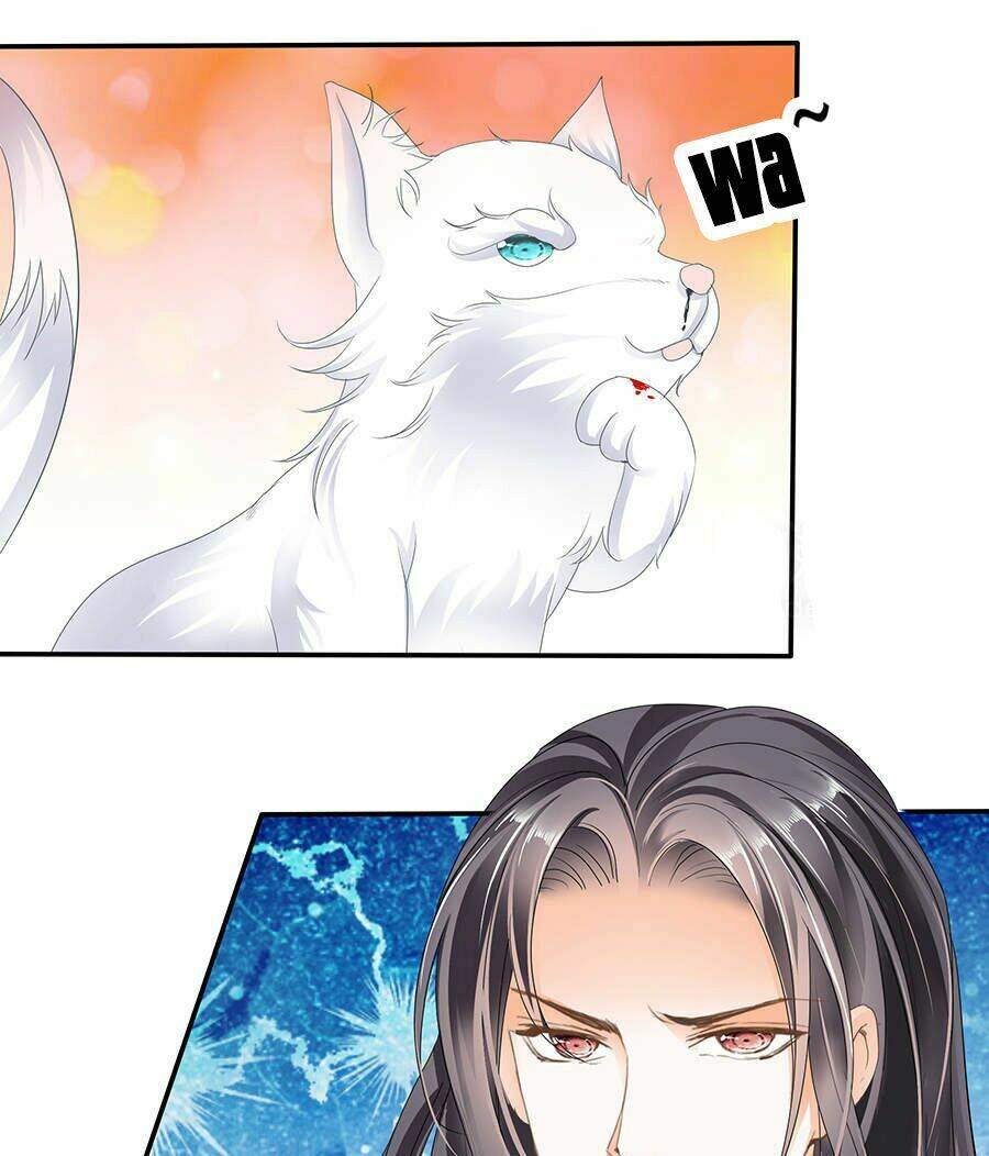 vương phi lại hạ độc rồi chapter 11 24