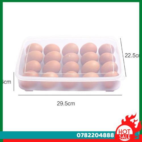 Hộp Đựng Trứng 24 Quả Tiện Dụng Khay Trứng 1 Tầng Nhựa Cao Cấp - CH Hương Thị Miễn Phí Vận Chuyển