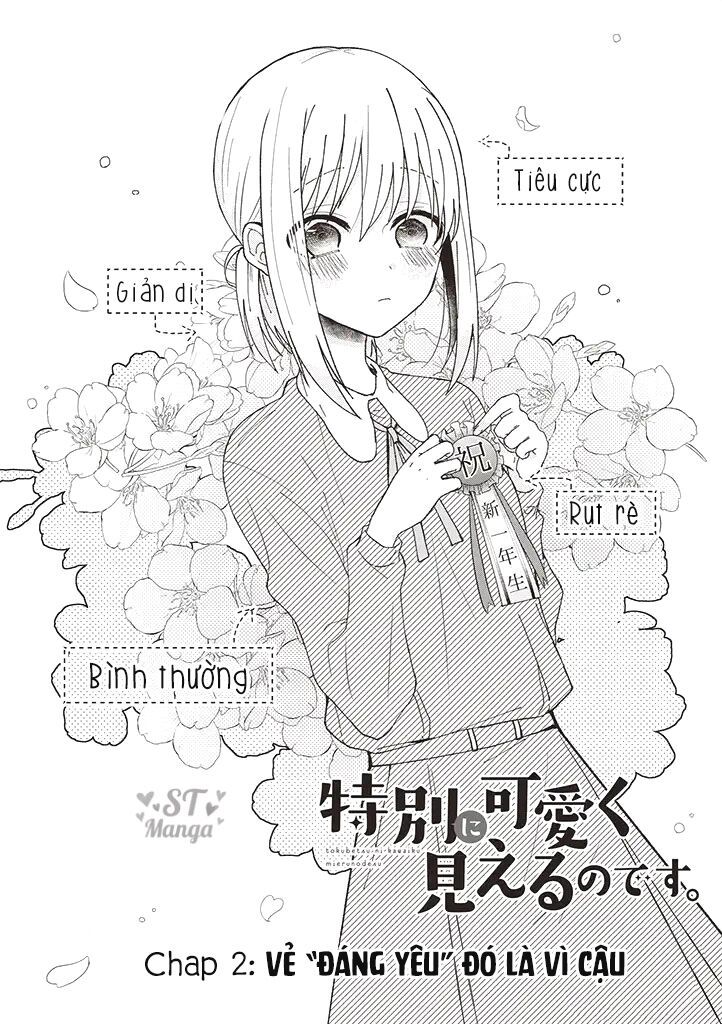 tokubetsu ni kawaiku mieru no desu. chapter 2 1