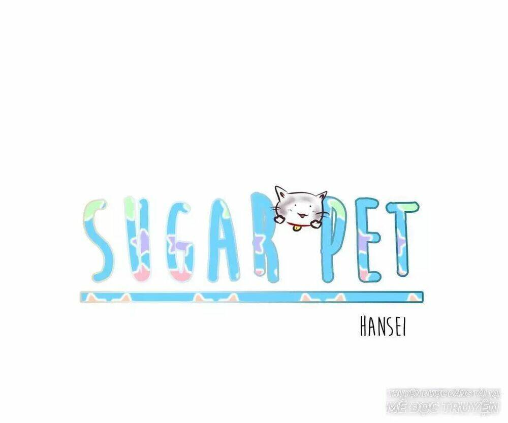 sugar pet chapter 0 26