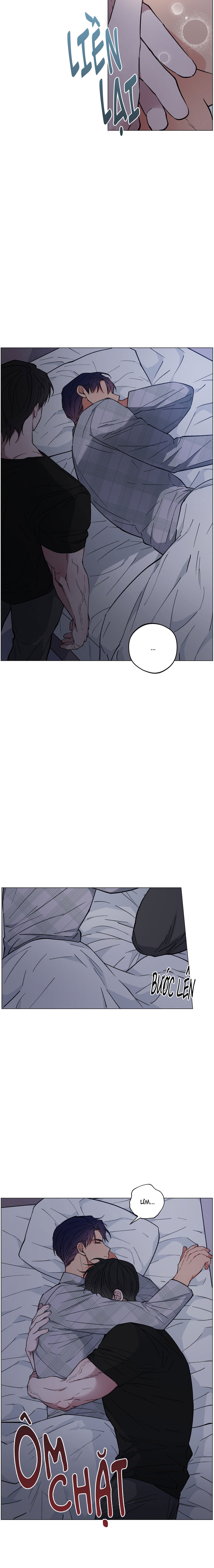 bình minh trên sông mây chapter 23 19