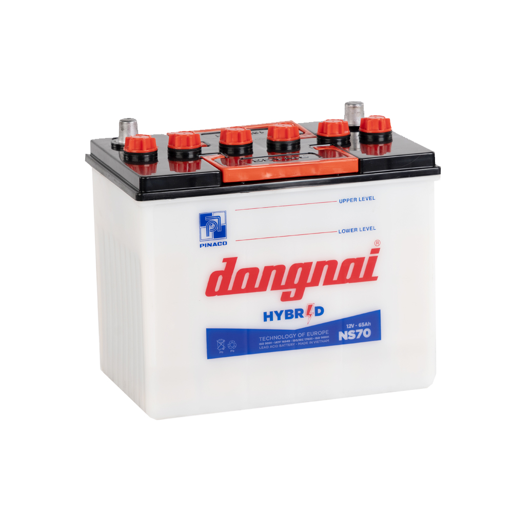 Ắc quy Hybrid Đồng Nai NS70 | 12V - 65Ah