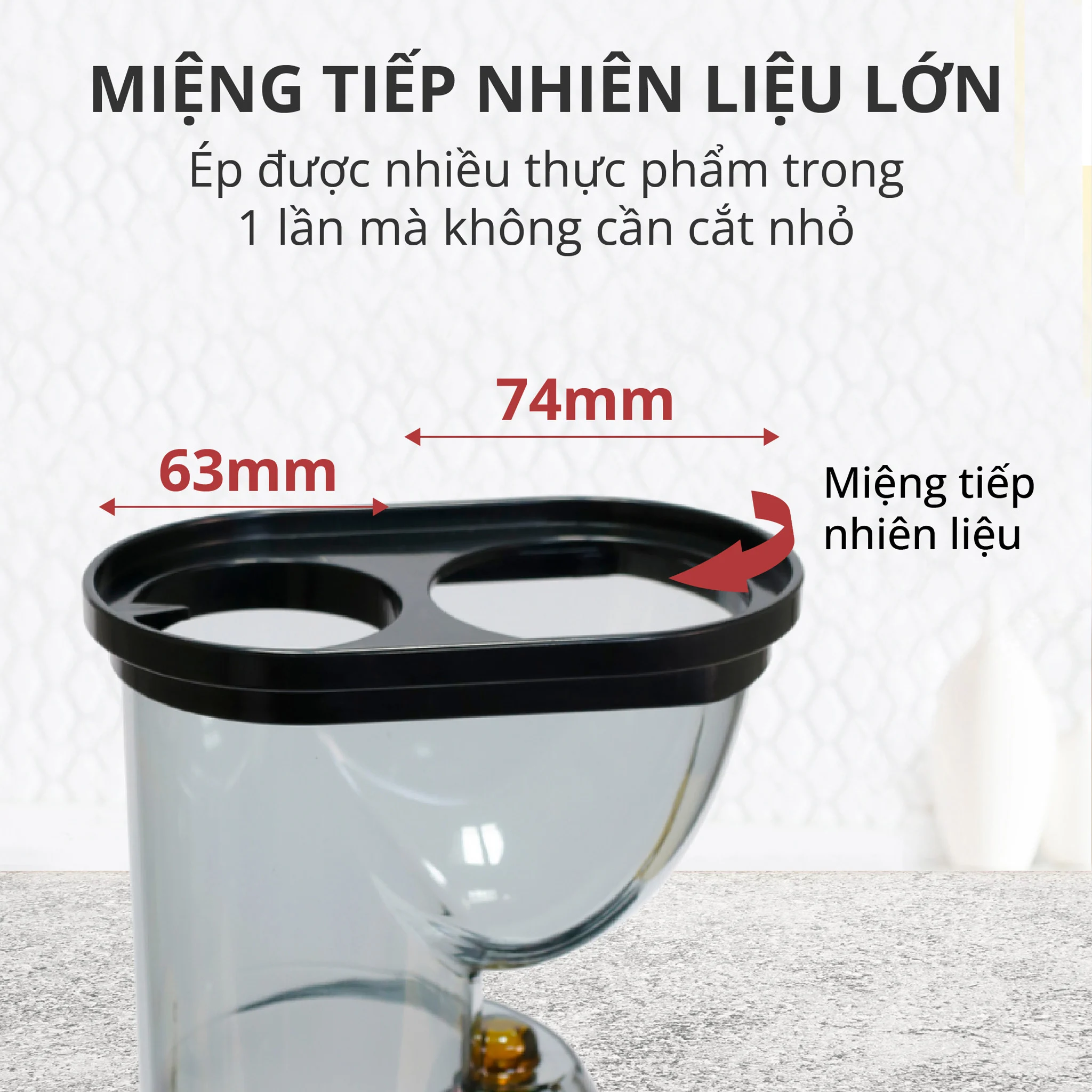 Máy Ép Trái Cây cao cấp Mishio MK313 Slowjuicer motor đồng trọng lượng máy 8.0kg