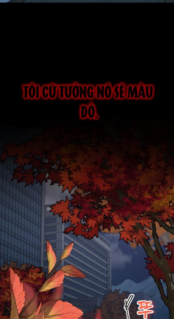 Cuộc Sống Của Tác Giả Truyện Người Lớn chapter 16.1 - Trang 20