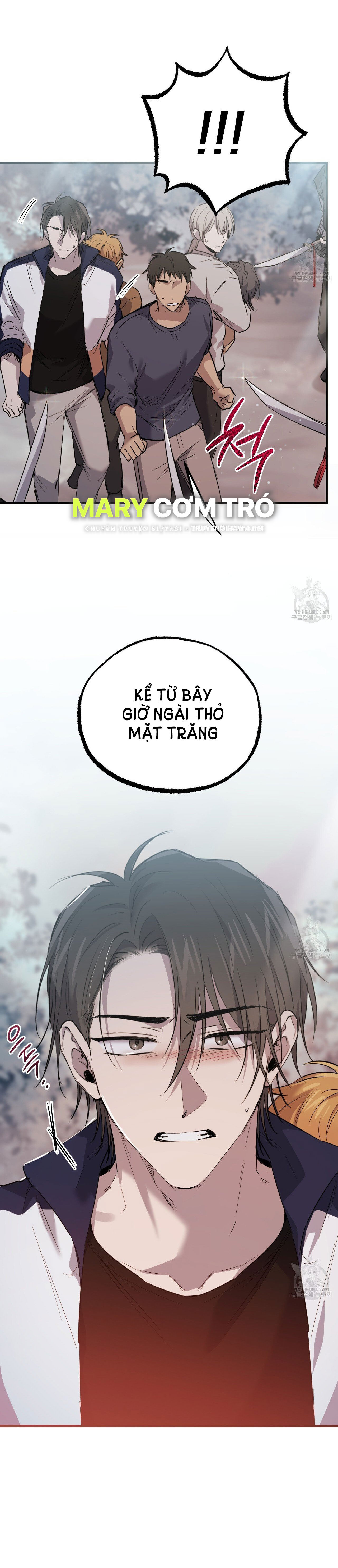 những chú thỏ của hapypy chapter 61.2 41