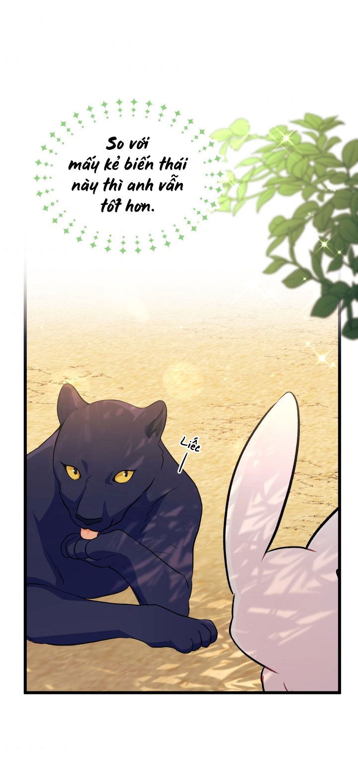 mối liên kết giữa báo đen và bé thỏ chapter 23 29