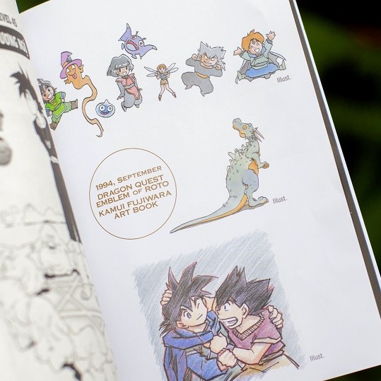 Dragon Quest - Dấu Ấn Roto Perfect Edition - Tập 9