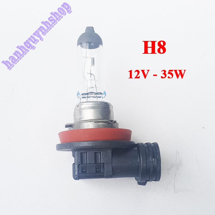 Bóng đèn ô tô H8 12V 35W con cú Halogen