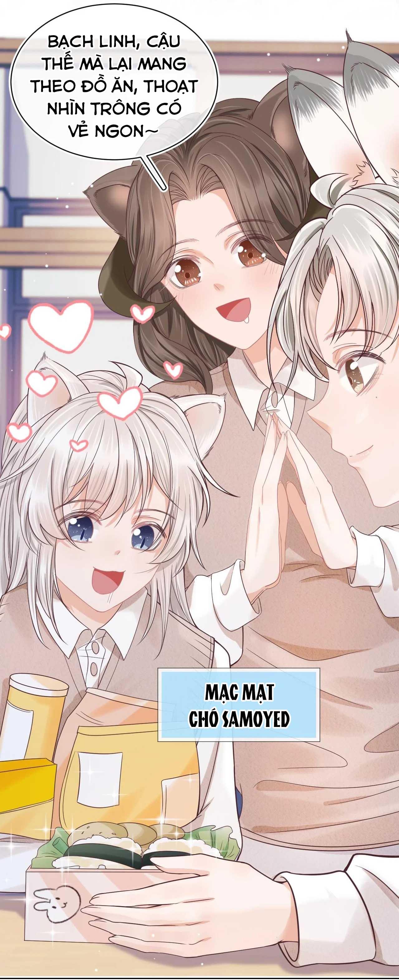 [ss2] một ngụm ăn cả thỏ con chapter 13 41