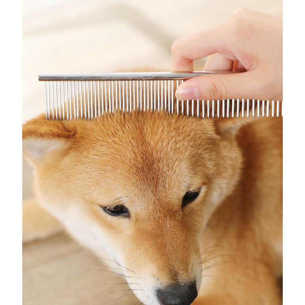 Lược inox chải lông cho chó mèo