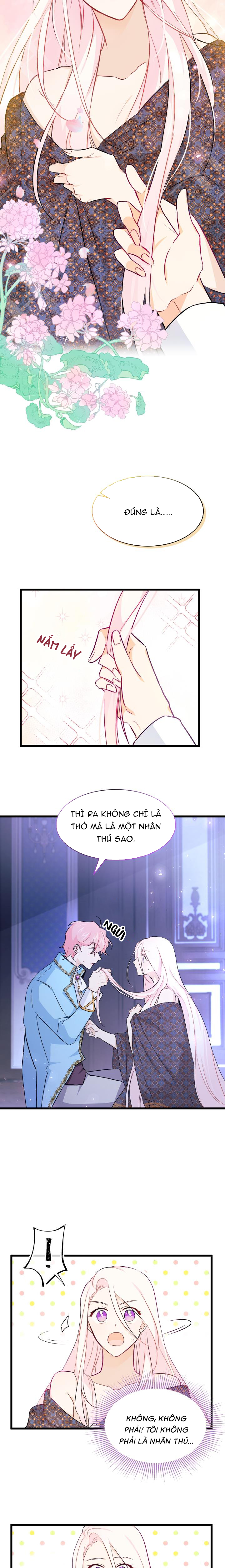 mối liên kết giữa báo đen và bé thỏ chapter 20 9