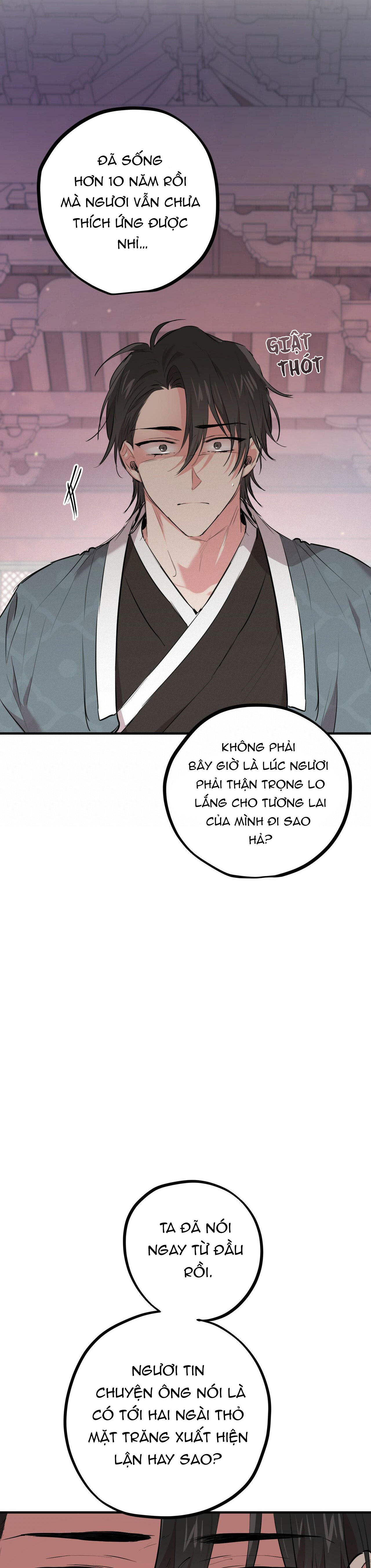 những chú thỏ của hapypy chapter 21 53