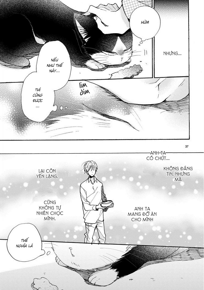 doukyonin wa hiza, tokidoki, atama no ue chapter 3.5 12