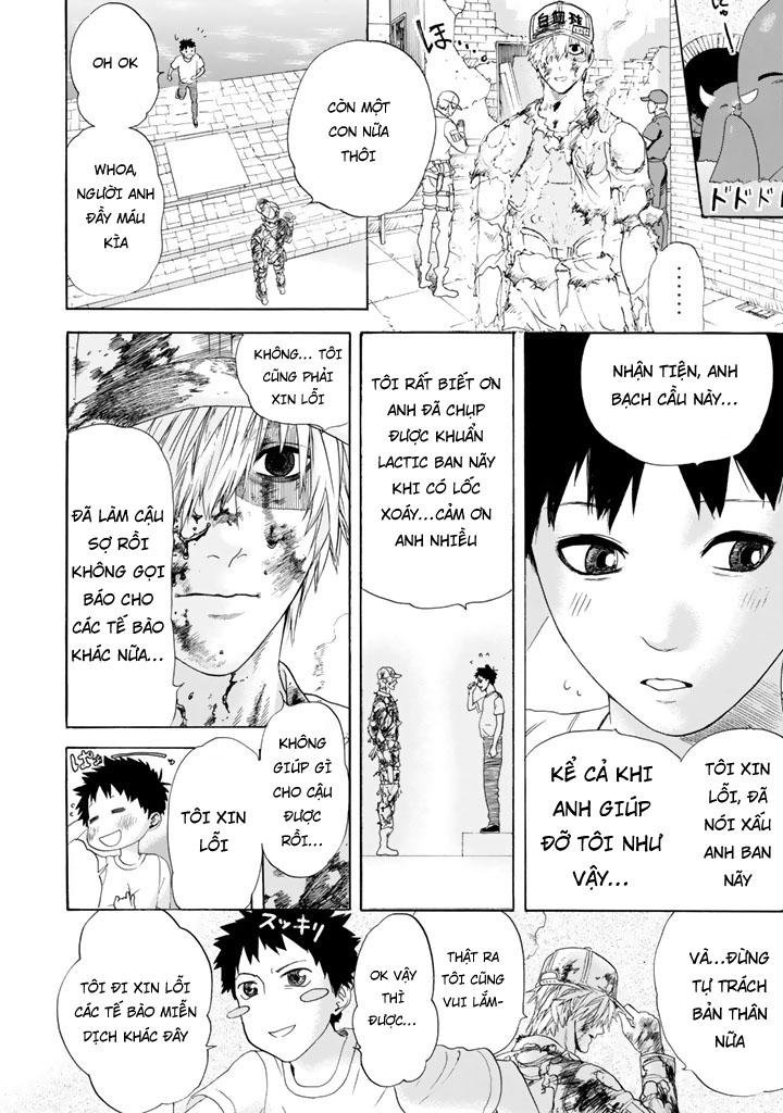 hataraku saibou! chapter 22 24