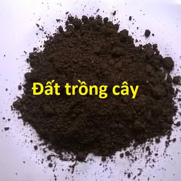 Đất trồng Cây Dinh Dưỡng Chibas Thủy Cam 1kg