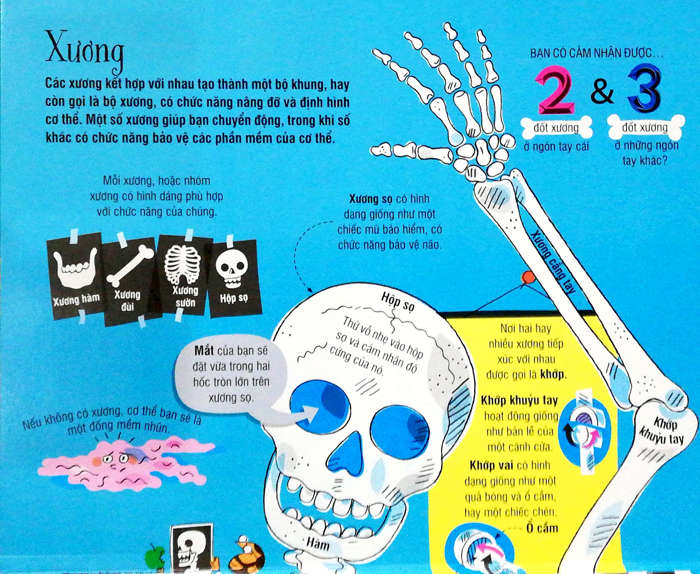 Cuốn sách khổng lồ về cơ thể người - Big Book of the body