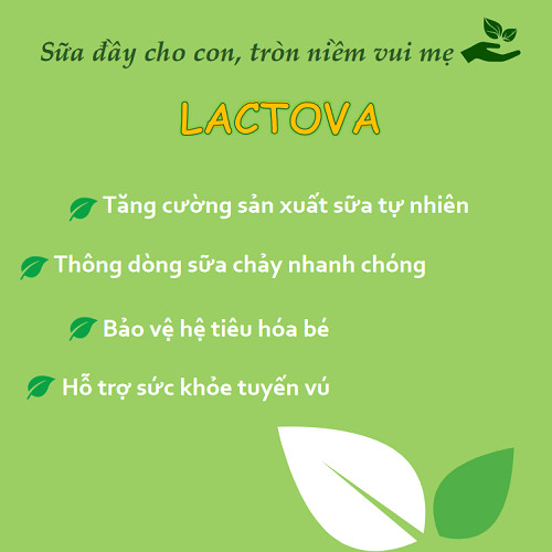 Viên uống lợi sữa LACTOVA - Tăng tiết sữa, thông tuyến sữa phụ nữ sau sinh - Nhà máy liên doanh với Medinej - USA và đạt chuẩn GMP - WHO