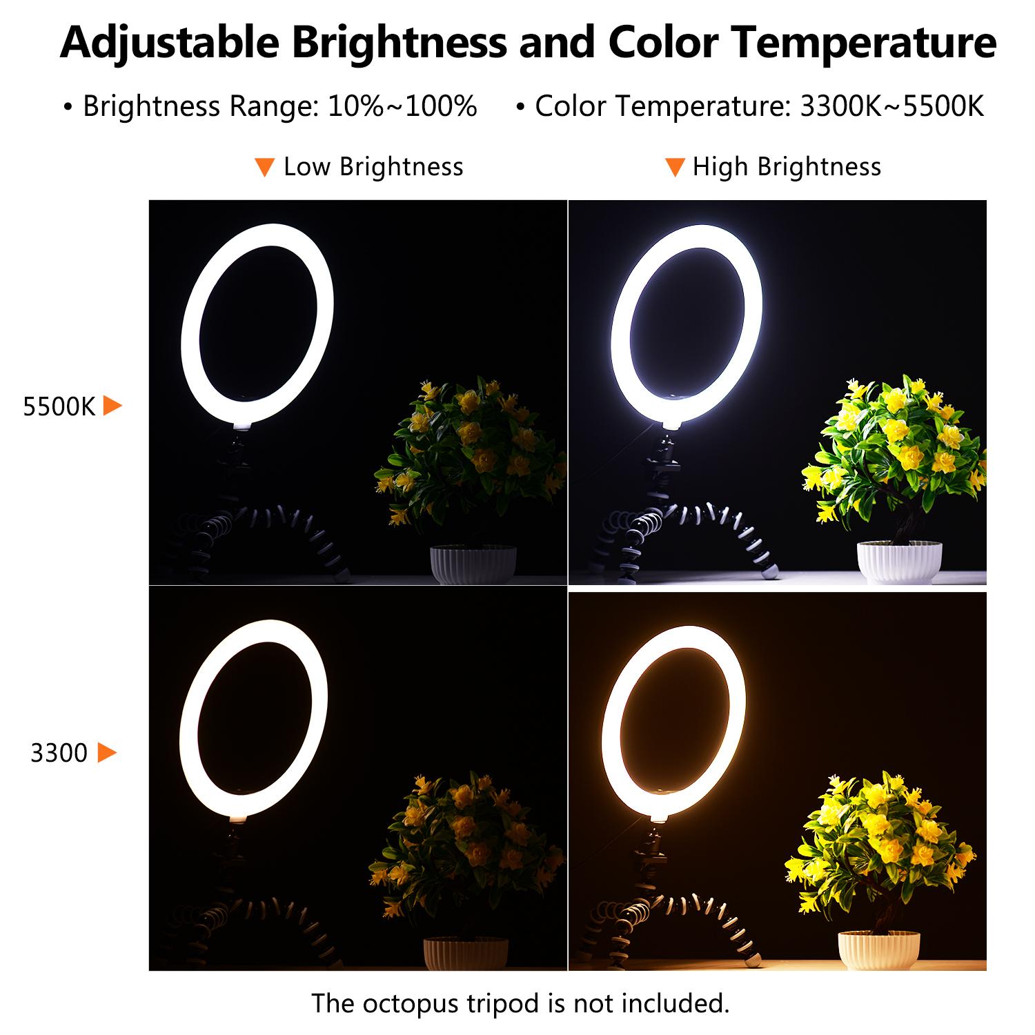 Đèn LED vòng chụp ảnh mini để bàn  10inch 3300K-5500K có thể thay đổi độ sáng