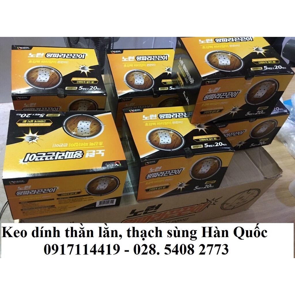 Keo dính, bẫy thằn lằn, thạch sùng, ruồi DAEGIL, hoa văn thu hút thằn lằn, thạch sùng, xuất xứ Hàn Quốc (1 hộp 5 miếng)