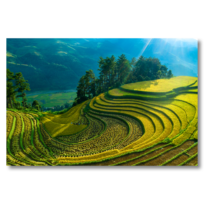 Tranh phong cảnh VIỆT NAM - In phun UV trên vải CANVAS bền màu bọc khung gỗ sang trọng.