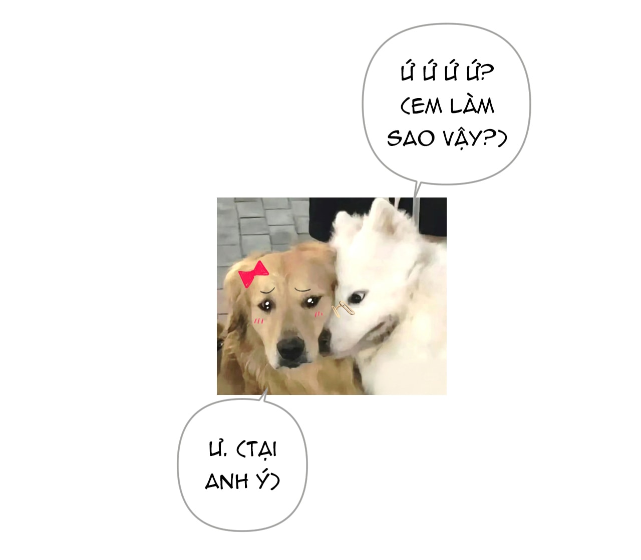 Trêu Nhầm chapter 46.2 31