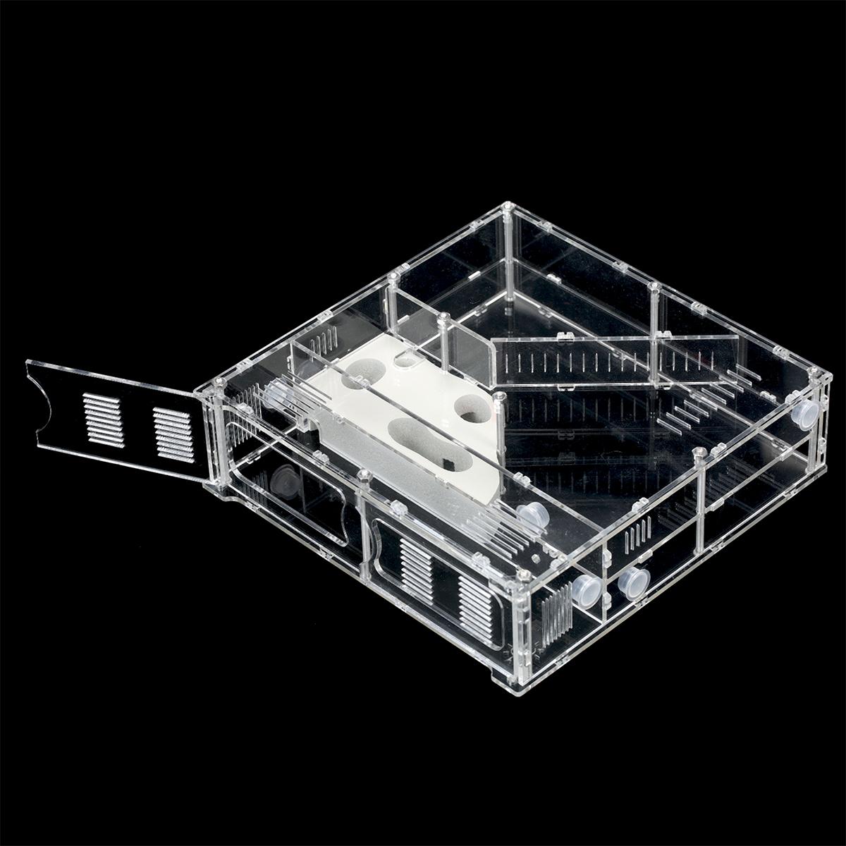 Live Ant Farm Starter Kit Ant Habitat Science Kit STEM Learning Educational Toy Kids Party Favor Science Gift Ant House