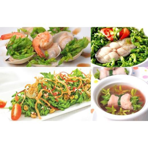 Chậu cây giống hoa thiên lý + Tặng 01 cây dâu da đất