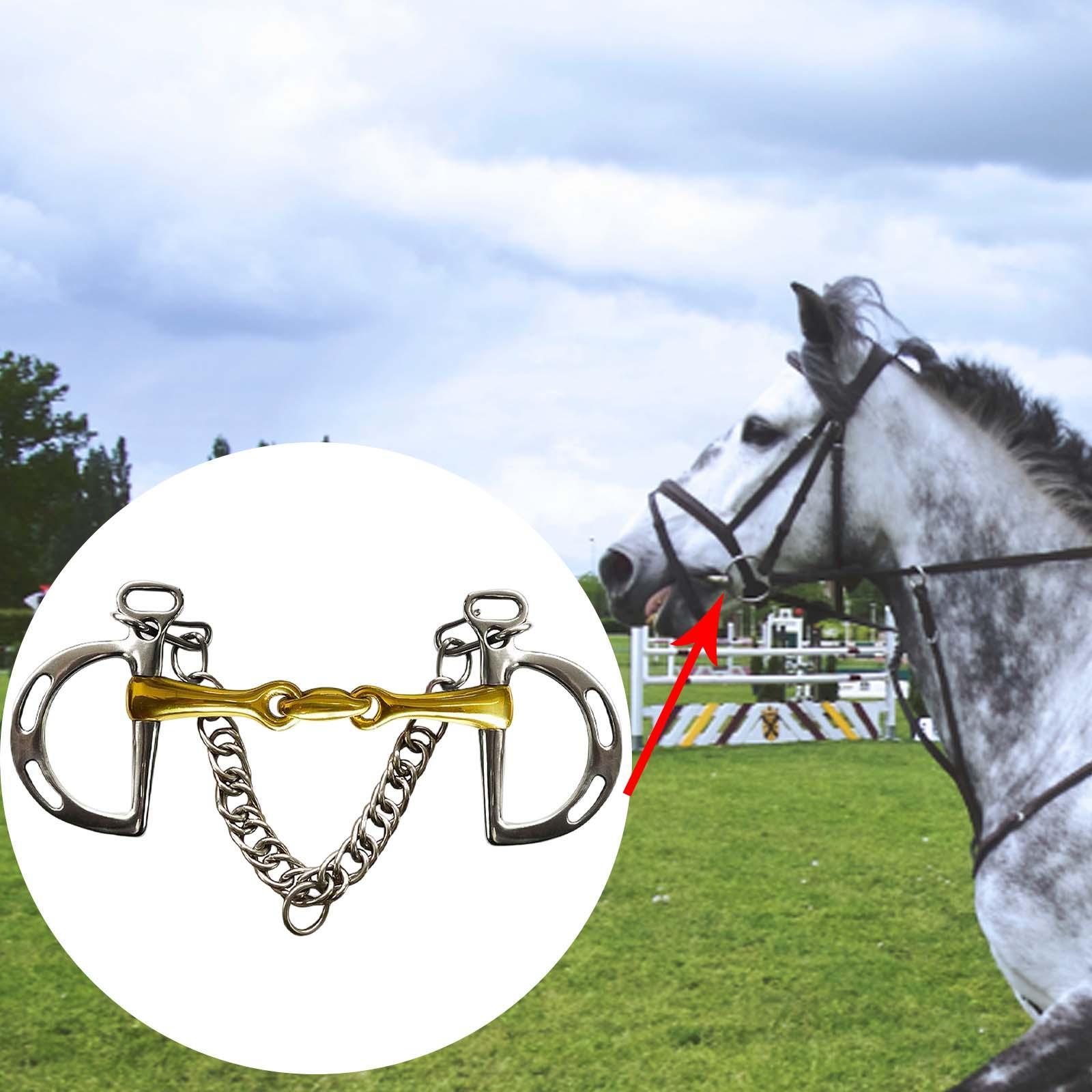 Horse Bit Copper Mouth Cheek Horse Bridle Horse Chewing