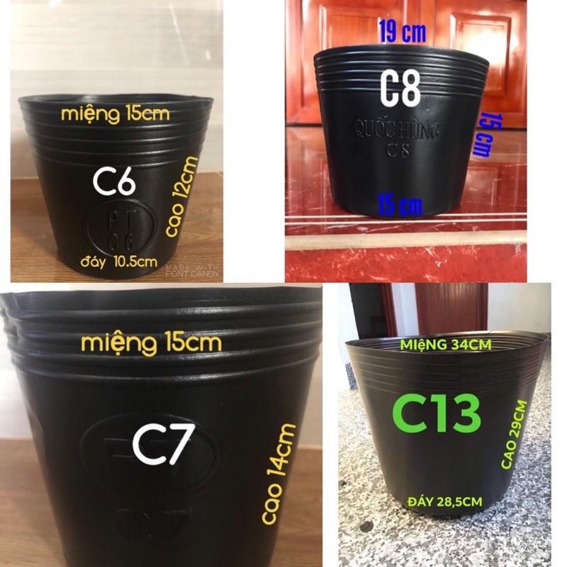 10 chậu nhựa mềm C13
