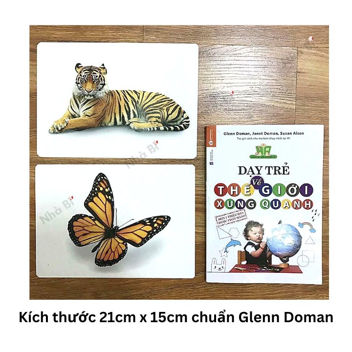 Flashcard - Bộ 100 Thẻ Dạy Trẻ Thế Giới Xung Quanh Theo Phương Pháp Glenn Doman - TN0005