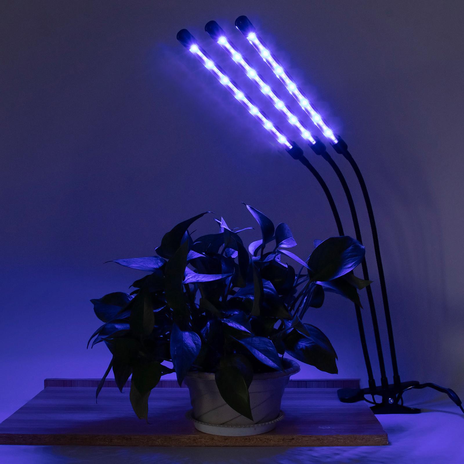 Set Đèn Quang Hợp Trồng Cây Cảnh Tại Nhà 3 Chế Độ Ánh Sáng 9 Cấp Độ Có Thể Điều Chỉnh Bộ Hẹn Giờ