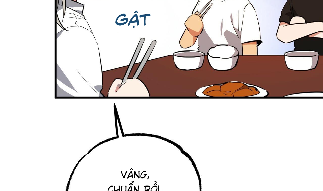 những chú thỏ của hapypy chapter 51 129