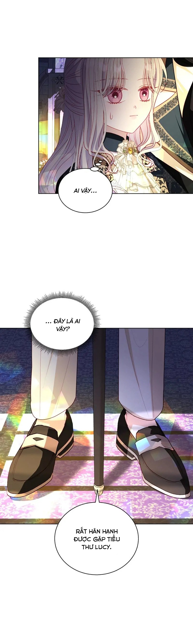 papa của tôi đã xuất hiện chapter 49 5