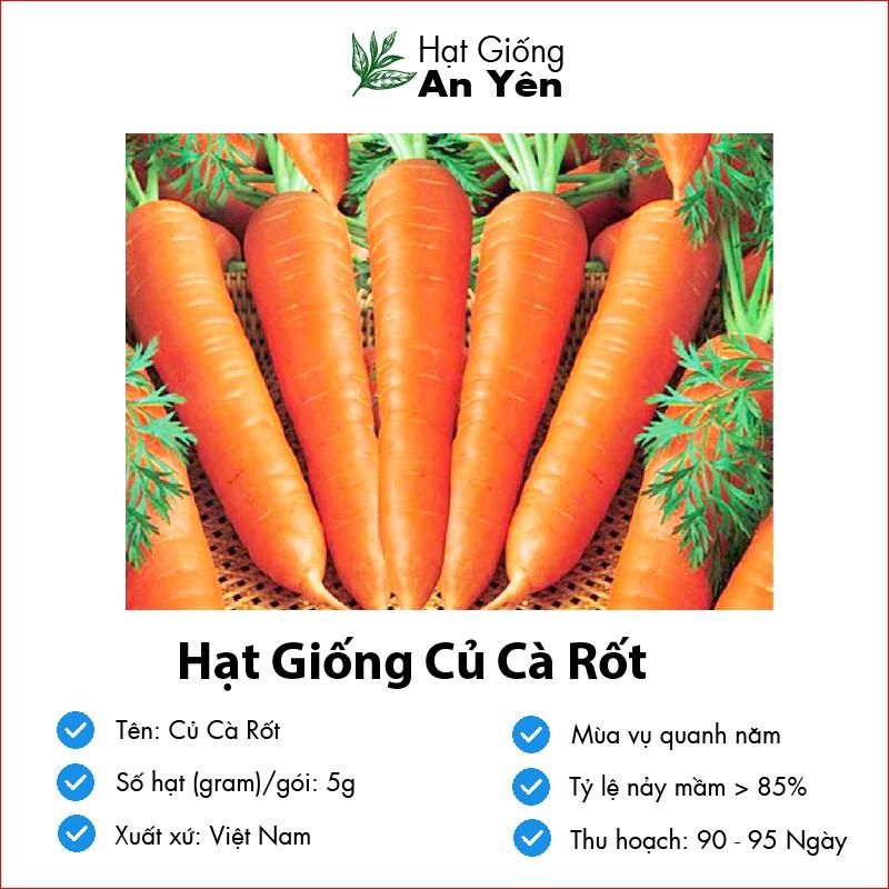 Hạt giống Củ Cà Rốt to thu hoạch sớm, dễ trồng, nảy mầm cao, sinh trưởng khoẻ