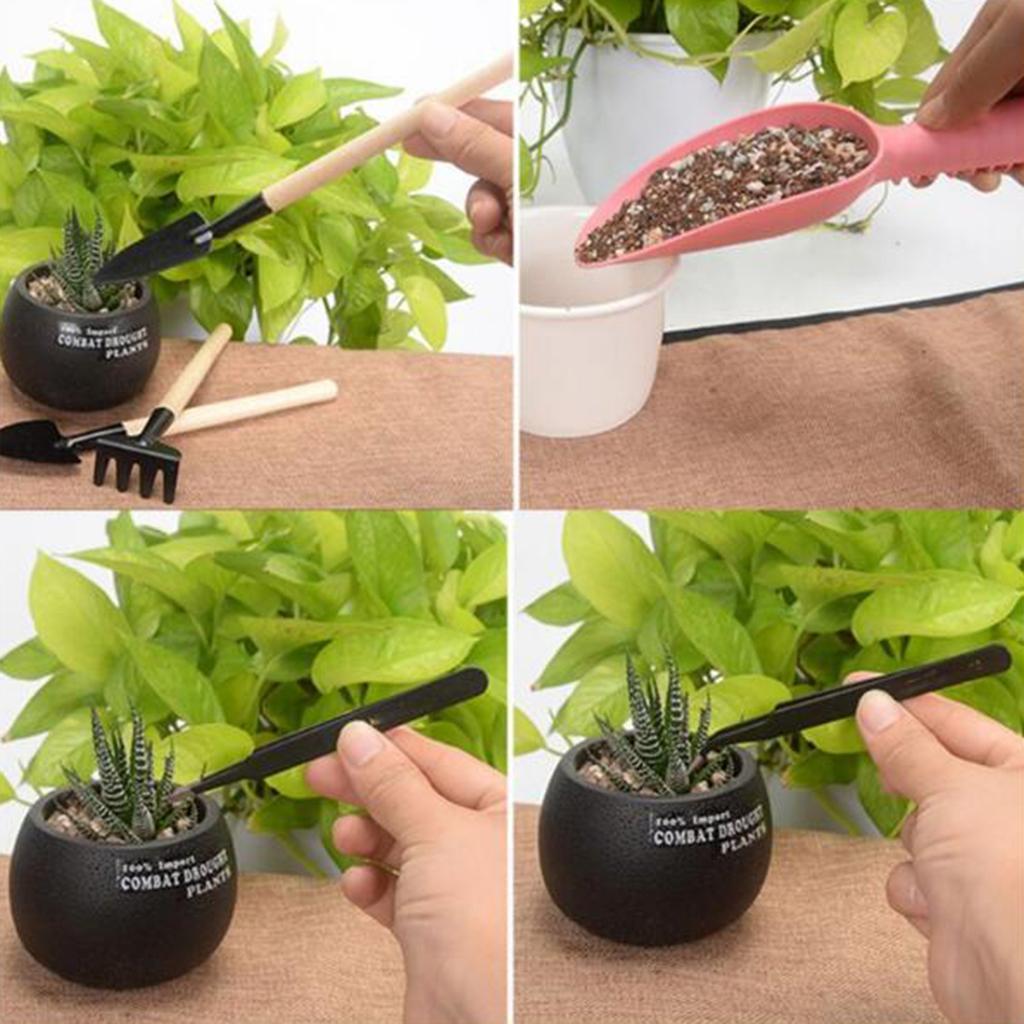 1 Set Succulent Tool Set Bonsai Plant Kits